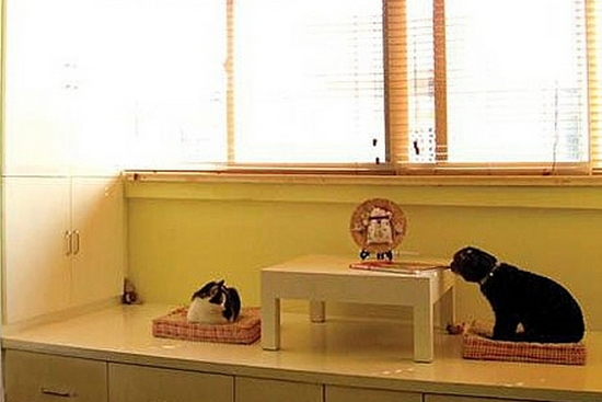 ��_(t��i)�����b��Ч���D